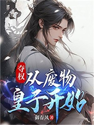 夺权的小说