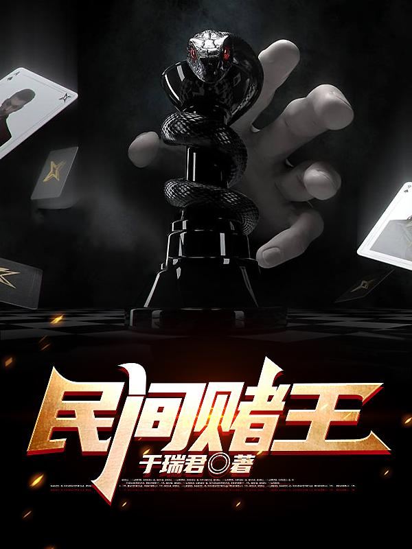 民间赌王小说