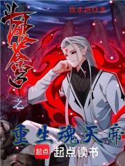 斗破苍穹之重生无上斗帝小说