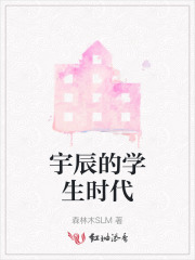 宇辰个人简历
