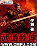 武道乾坤免费全文阅读