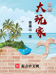 自然大玩家全文txt下载