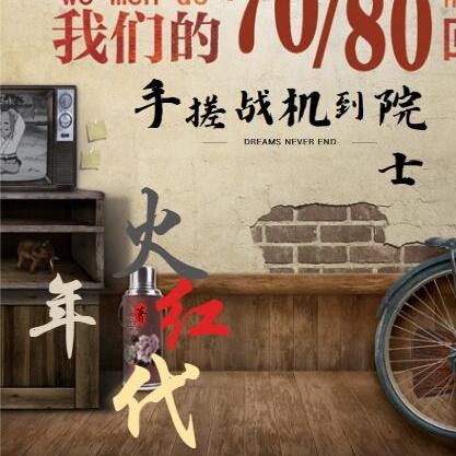 火红年代手搓战机到院士小说全文