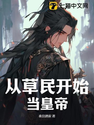 从草民开始当皇帝小说