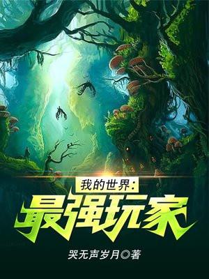 我的世界:最强玩家笔趣阁