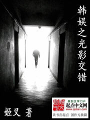 韩娱之光影交错加料版