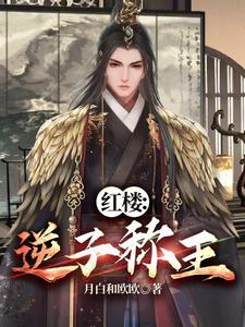 红楼:开局获得天罡诀小说