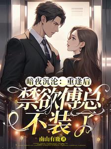 傅夜沉小说