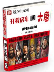 开着房车回大唐免费下载