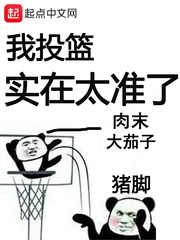 我投篮实在太准了txt下载