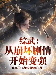 综武:从崩坏剧情开始变强免费阅读