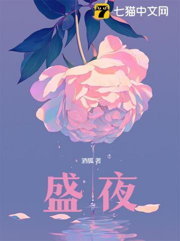 盛夜玫瑰小说