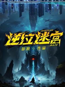 逆位迷宫小说TXT下载