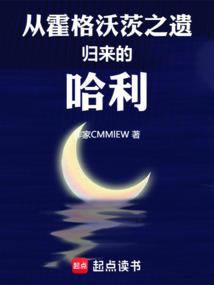 从霍格沃茨之遗归来的哈利起点