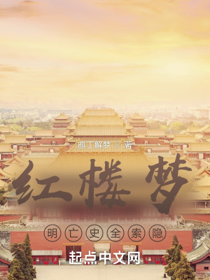 红楼梦索隐十册