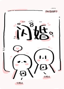 闪婚