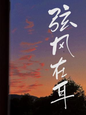 弦风在耳
