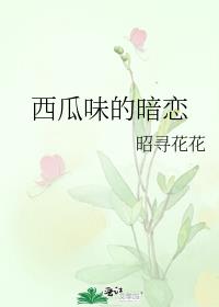西瓜味的暗恋