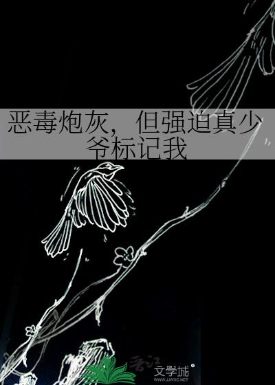 恶毒炮灰，但强迫真少爷标记我