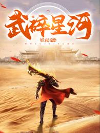武碎星河小说百科
