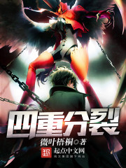 四重分裂人物详细介绍