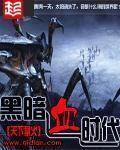 黑暗血时代笔趣阁无弹窗