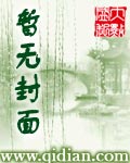 民国崛起之东北虎啸目录