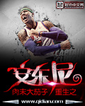 重生之拿破仑之子小说