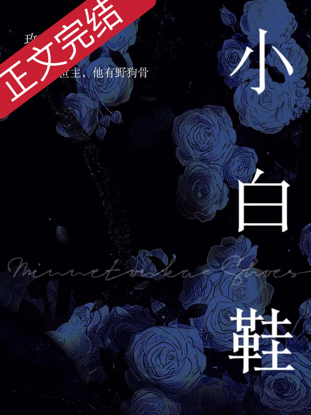 小白鞋小说免费阅读全文