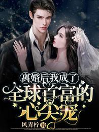 离婚后我成了大佬的心尖宠