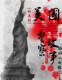 美国警察执法故事