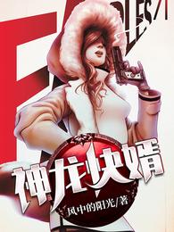 神龙快婿免费完整版