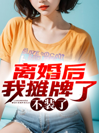 离婚后摆地摊为生的小说