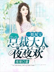 一胎双宝总裁大人超给力免费