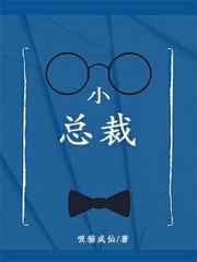 小总裁的保镖