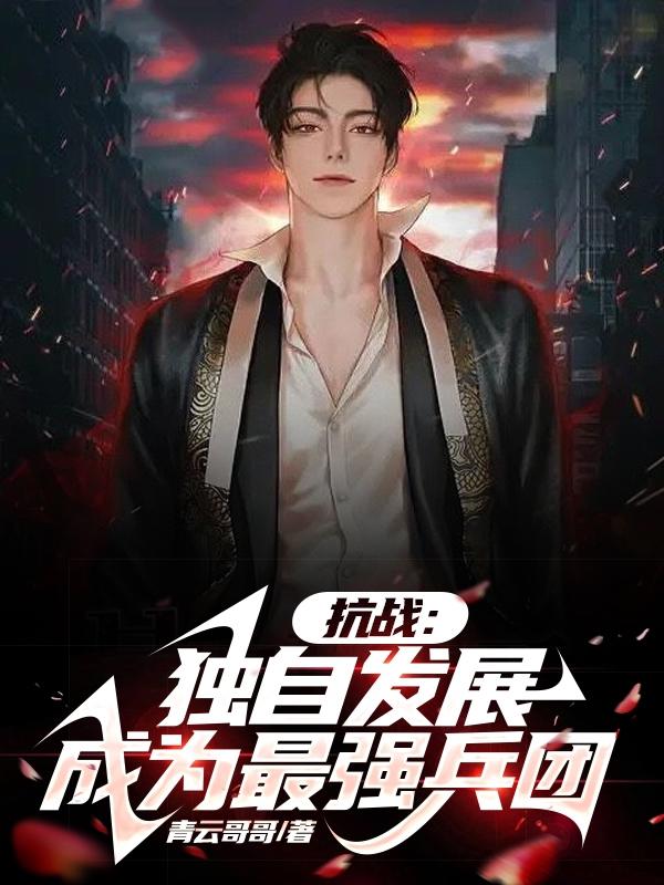 独自抗战的小说