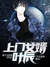上门女婿免费阅读叶辰