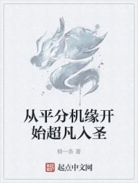 从平分机缘开始超凡入圣起点