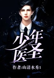 少年医圣小说