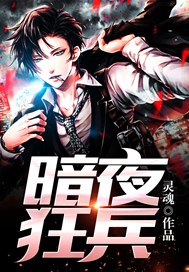 暗夜狂兵小说全文阅读