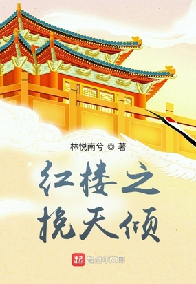 红楼之挽天倾大结局