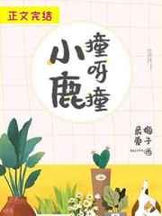 小鹿撞呀撞小说简介