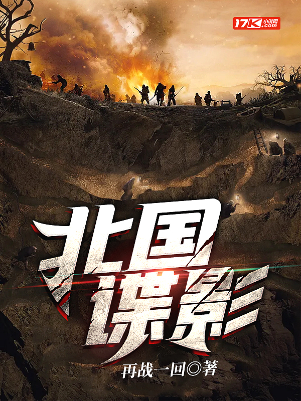 北国谍影类型的小说