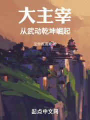 大主宰从武动乾坤崛起的小说