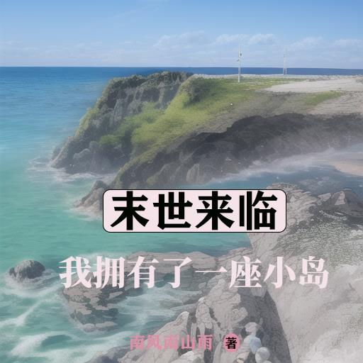 我拥有了一座小岛小说